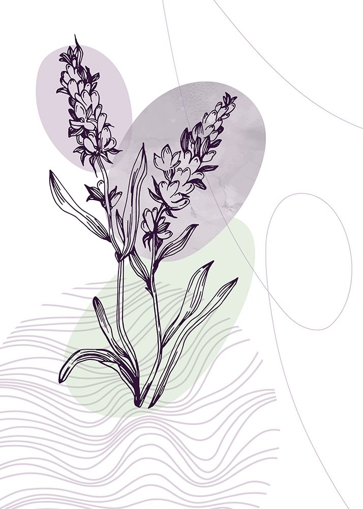 Lavender flowers art print by AcantStudio for $57.95 CAD