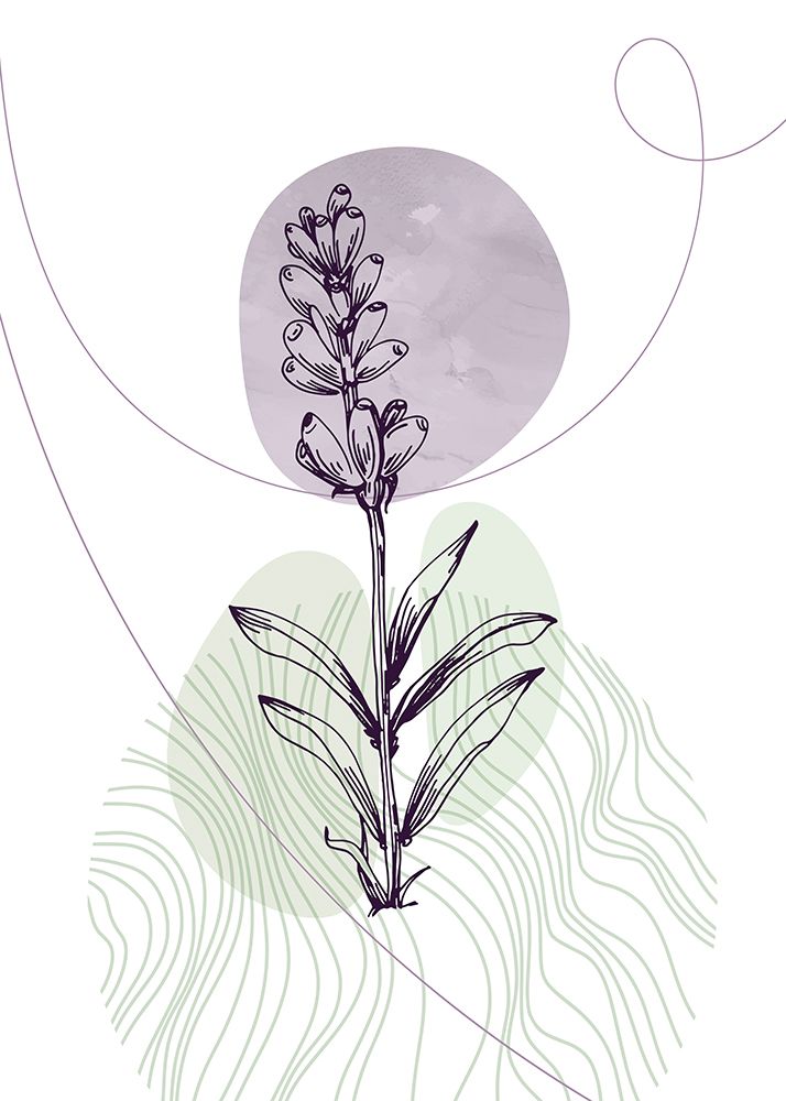 Lavender flowers art print by AcantStudio for $57.95 CAD