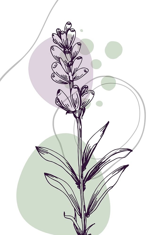 Lavender flowers art print by AcantStudio for $57.95 CAD