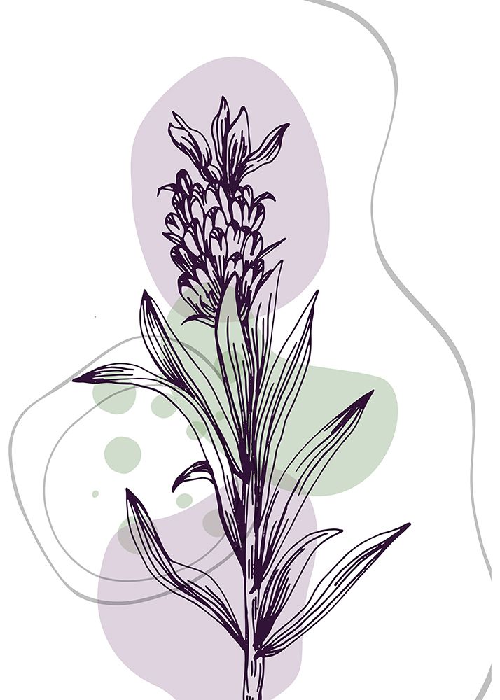 Lavender flowers art print by AcantStudio for $57.95 CAD
