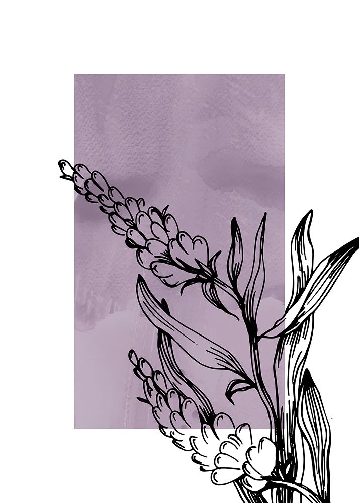 Lavender flowers art print by AcantStudio for $57.95 CAD