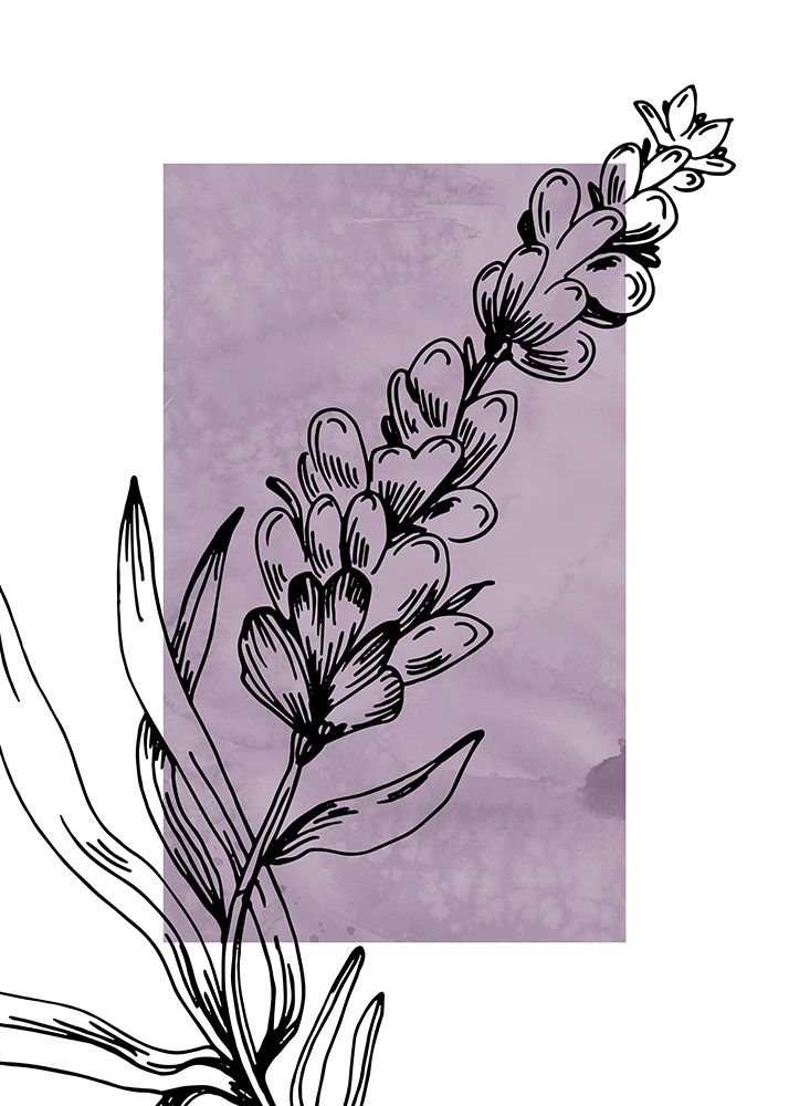 Lavender flowers art print by AcantStudio for $57.95 CAD