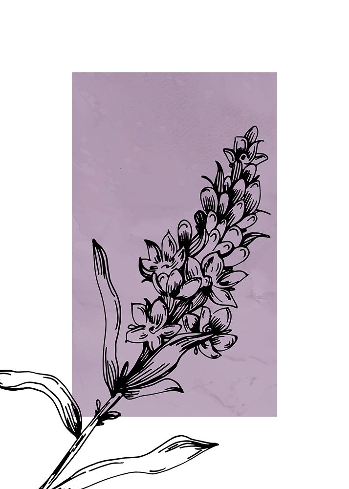 Lavender flowers art print by AcantStudio for $57.95 CAD