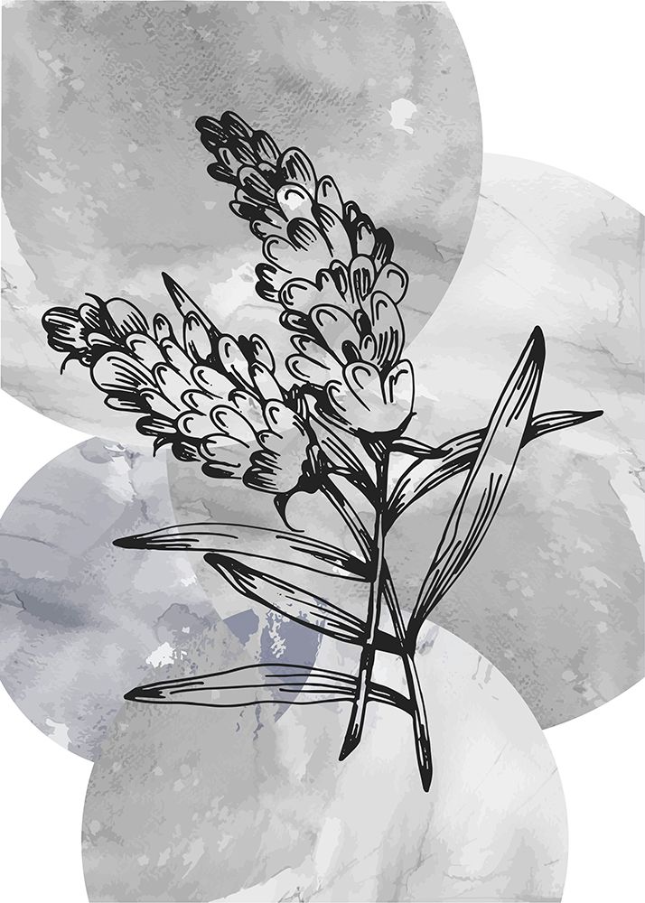 Lavender flowers art print by AcantStudio for $57.95 CAD