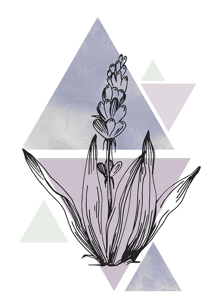 Lavender flowers art print by AcantStudio for $57.95 CAD
