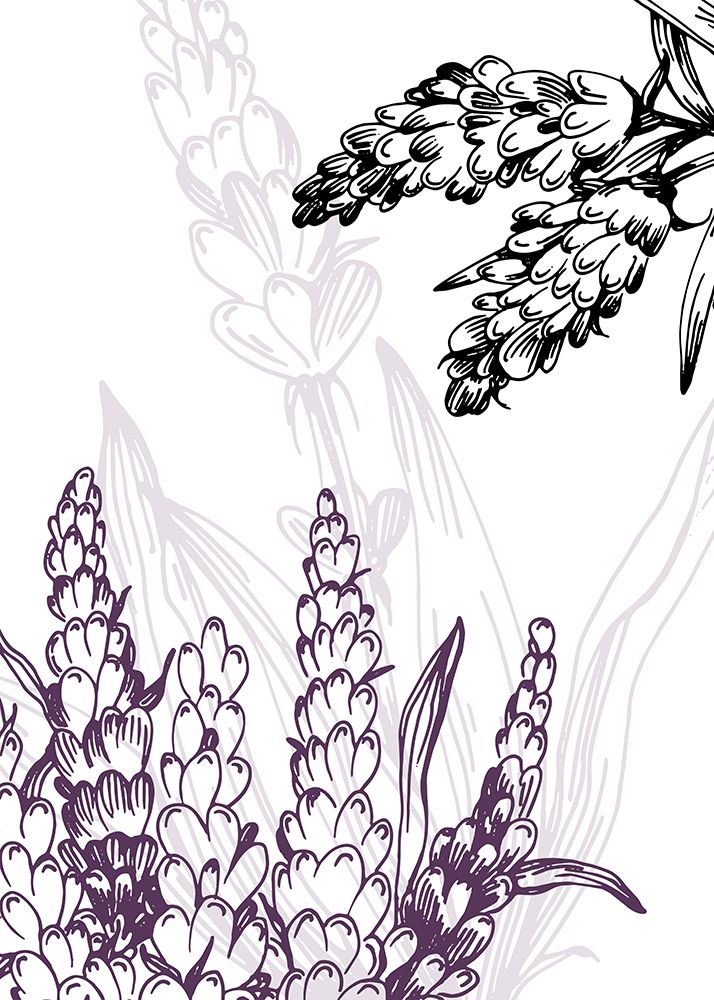 Lavender flowers art print by AcantStudio for $57.95 CAD