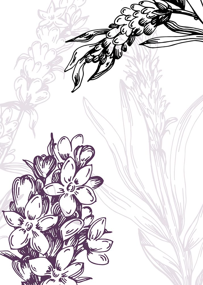 Lavender flowers art print by AcantStudio for $57.95 CAD
