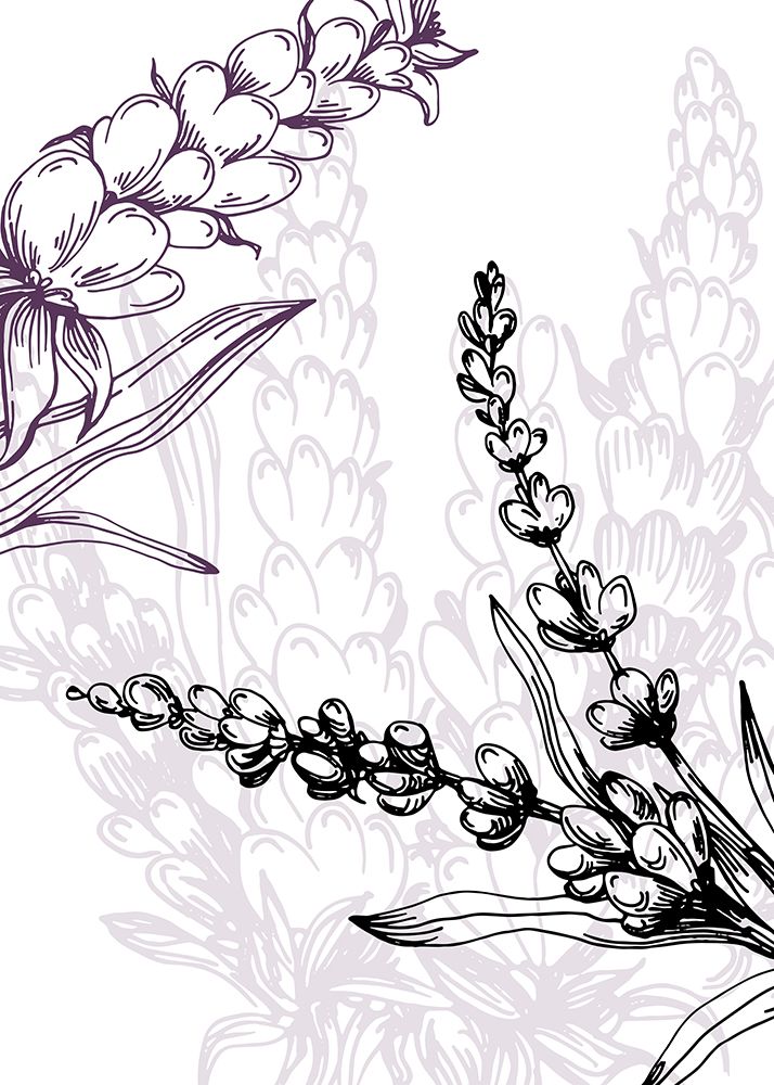 Lavender flowers art print by AcantStudio for $57.95 CAD