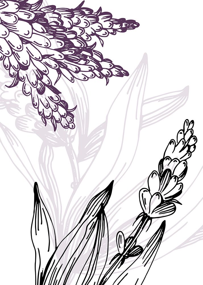 Lavender flowers art print by AcantStudio for $57.95 CAD