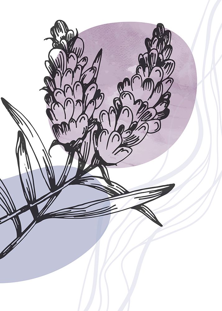 Lavender flowers art print by AcantStudio for $57.95 CAD
