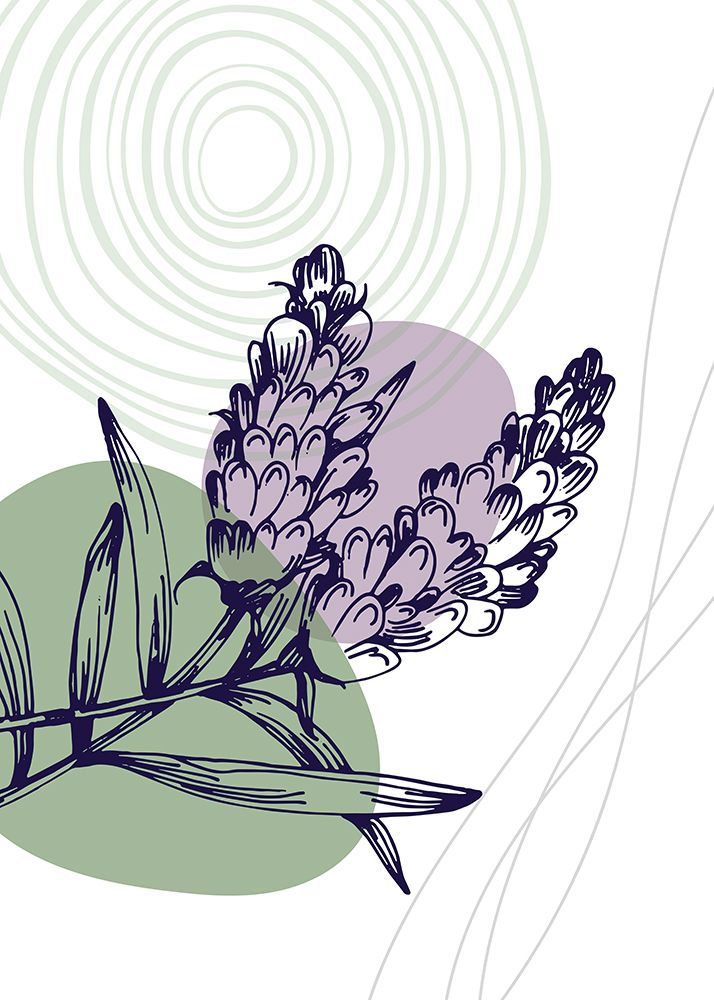 Lavender flowers art print by AcantStudio for $57.95 CAD