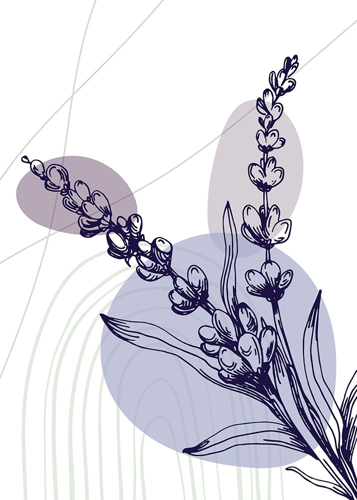 Lavender flowers art print by AcantStudio for $57.95 CAD