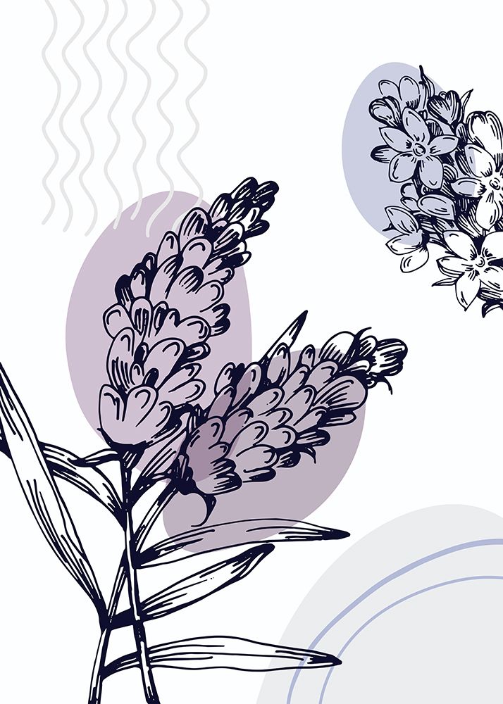 Lavender flowers art print by AcantStudio for $57.95 CAD