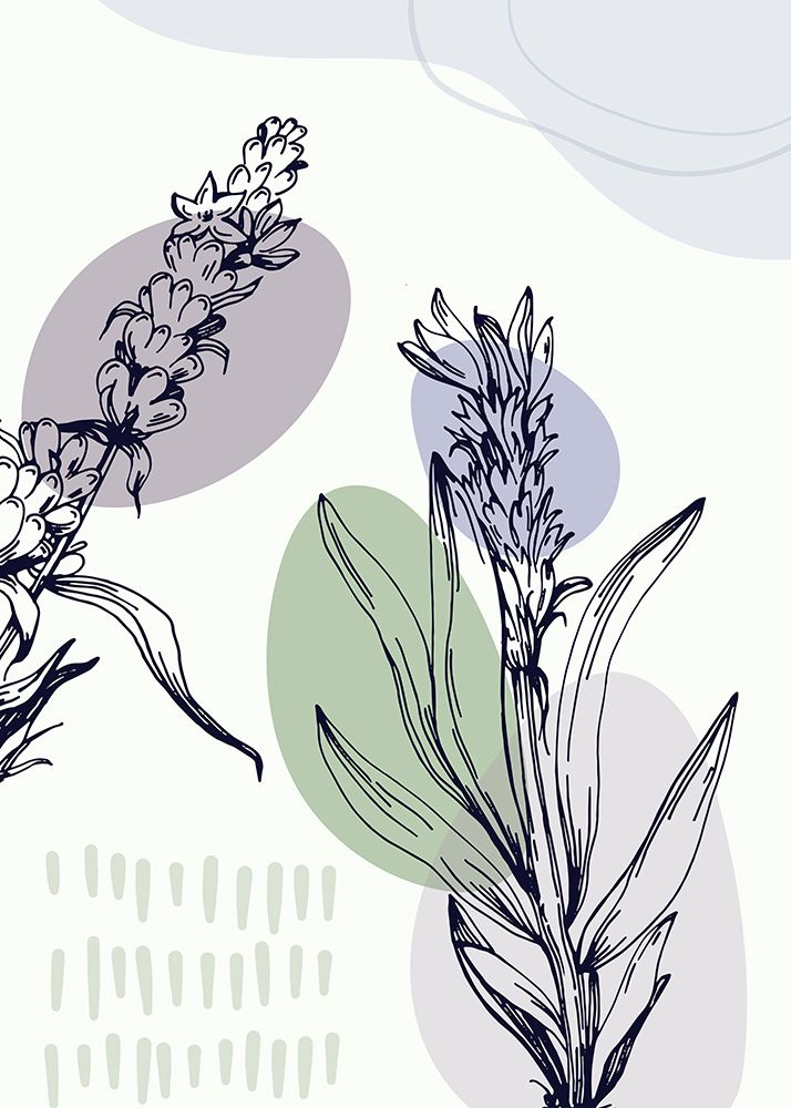 Lavender flowers art print by AcantStudio for $57.95 CAD
