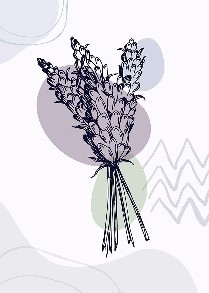 Lavender flowers art print by AcantStudio for $57.95 CAD