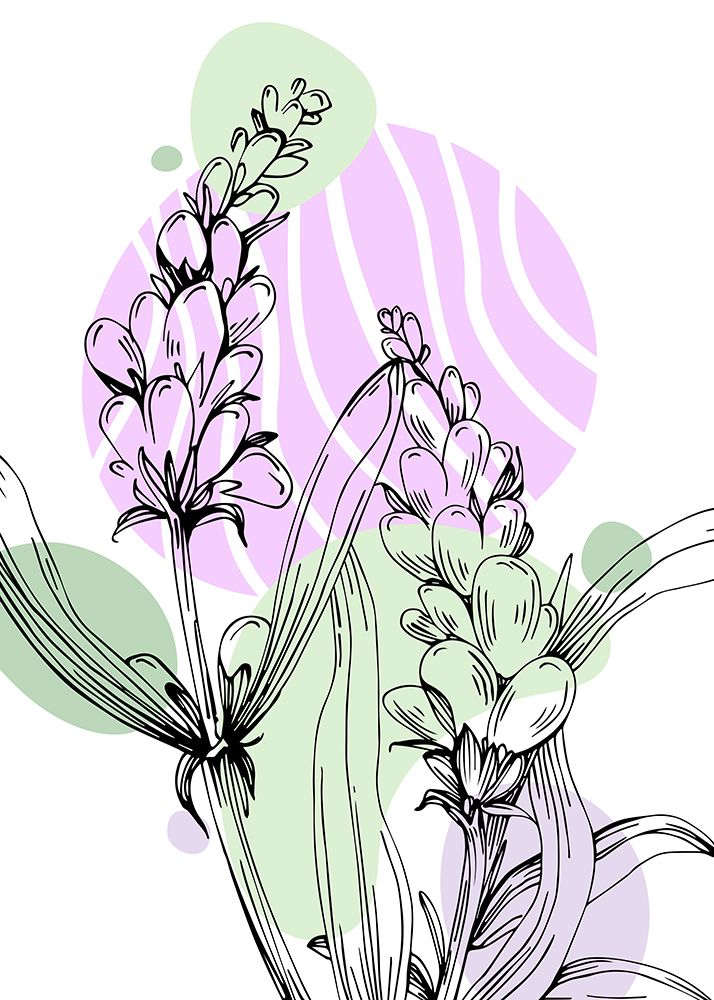 Lavender flowers art print by AcantStudio for $57.95 CAD