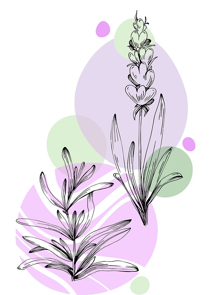 Lavender flowers art print by AcantStudio for $57.95 CAD