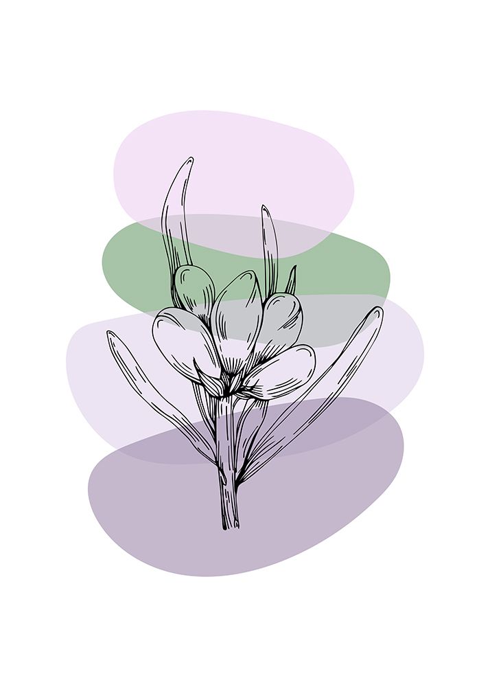 Lavender flowers art print by AcantStudio for $57.95 CAD