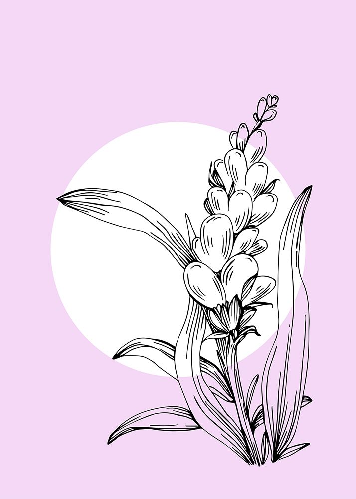 Lavender flowers art print by AcantStudio for $57.95 CAD