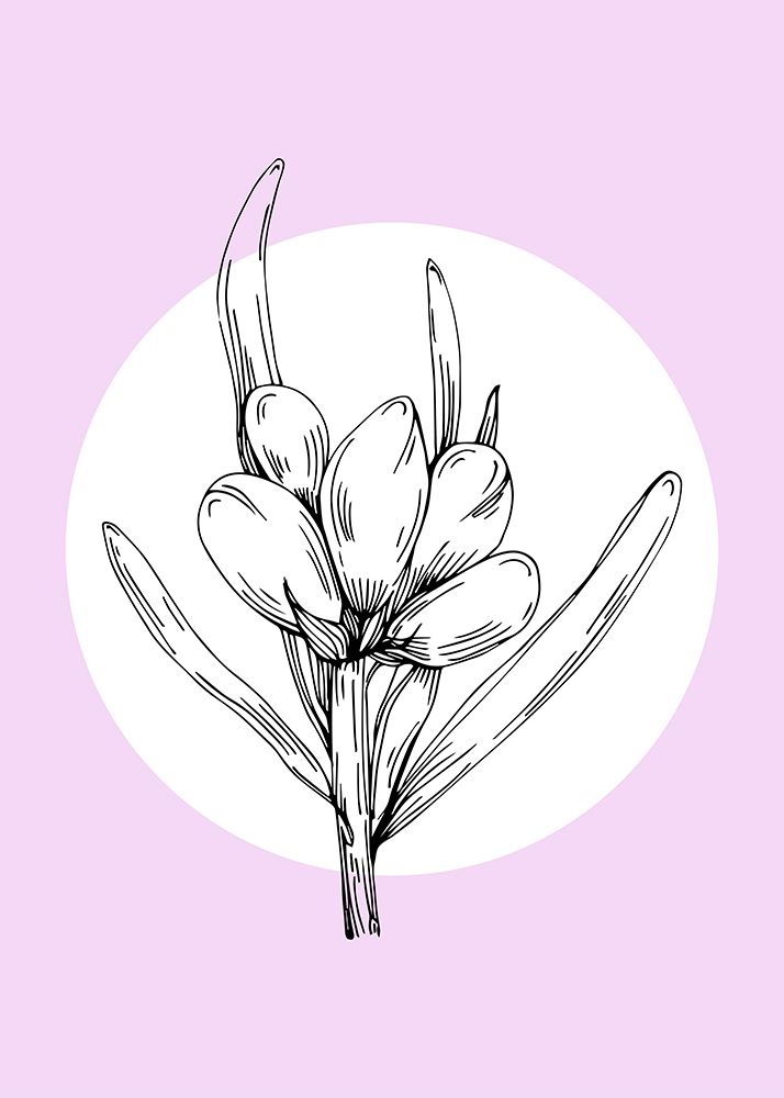 Lavender flowers art print by AcantStudio for $57.95 CAD