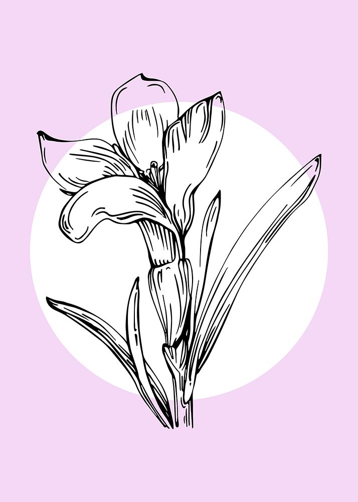 Lavender flowers art print by AcantStudio for $57.95 CAD