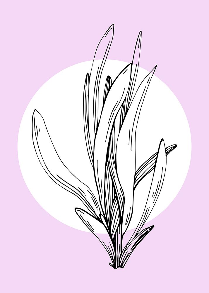 Lavender flowers art print by AcantStudio for $57.95 CAD