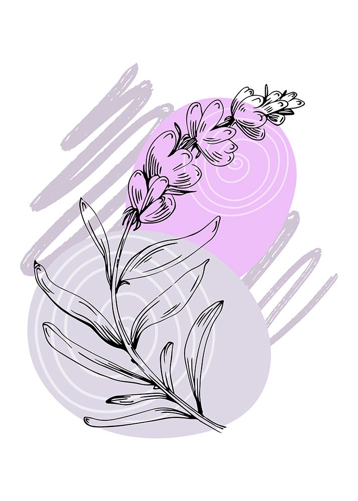 Lavender flowers art print by AcantStudio for $57.95 CAD