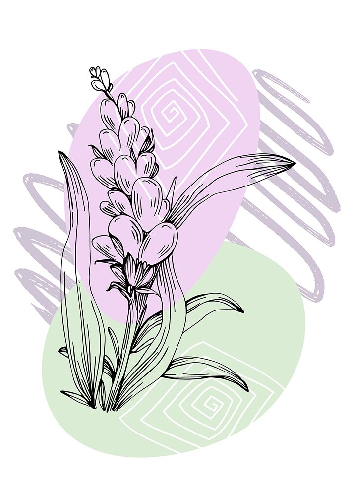 Lavender flowers art print by AcantStudio for $57.95 CAD