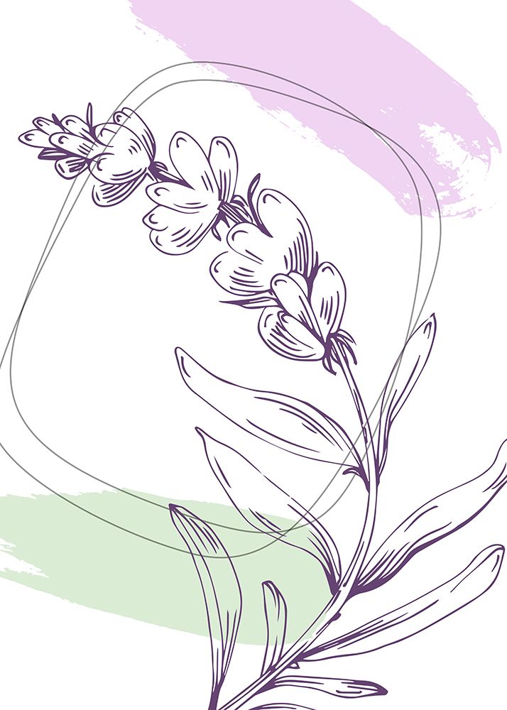 Lavender flowers art print by AcantStudio for $57.95 CAD