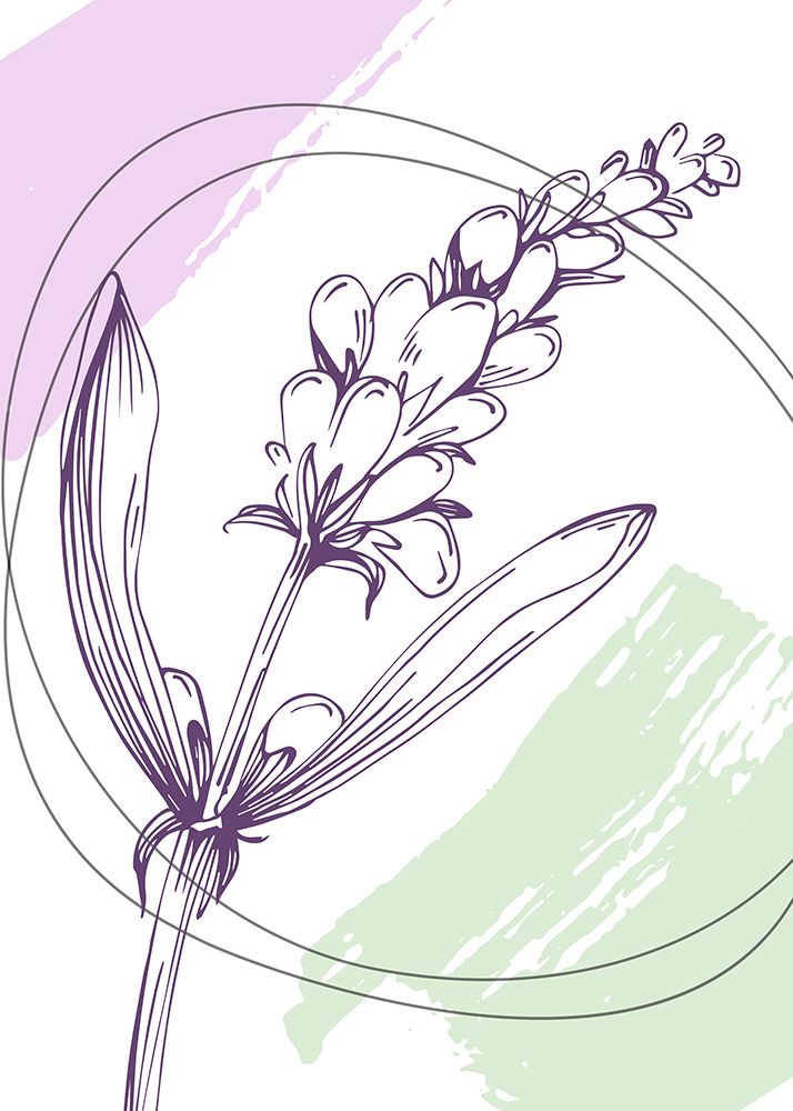 Lavender flowers art print by AcantStudio for $57.95 CAD