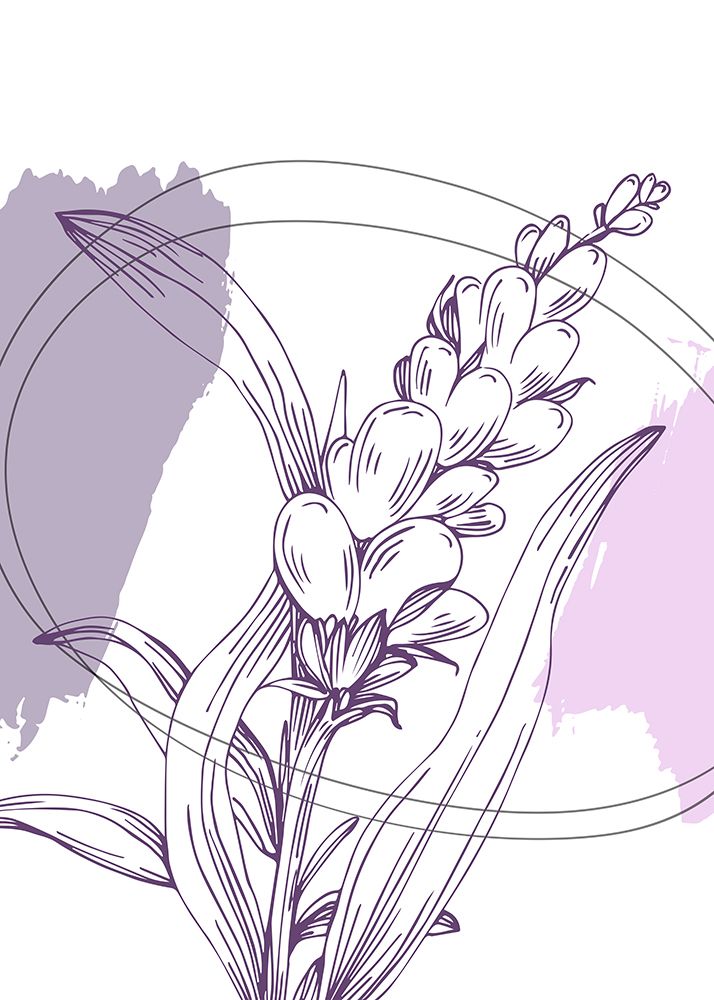 Lavender flowers art print by AcantStudio for $57.95 CAD