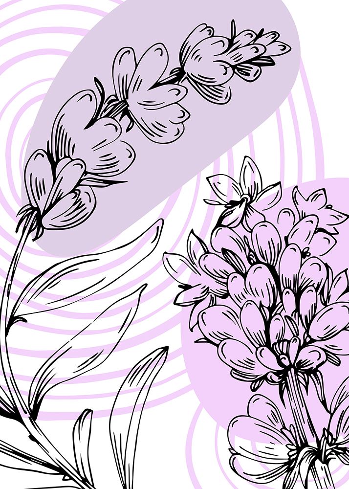 Lavender flowers art print by AcantStudio for $57.95 CAD