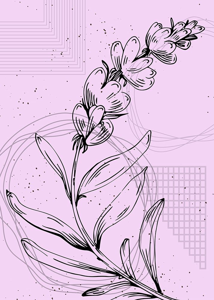 Lavender flowers art print by AcantStudio for $57.95 CAD