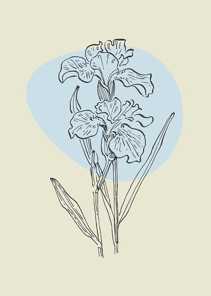 Irises flowers minimal art art print by AcantStudio for $57.95 CAD