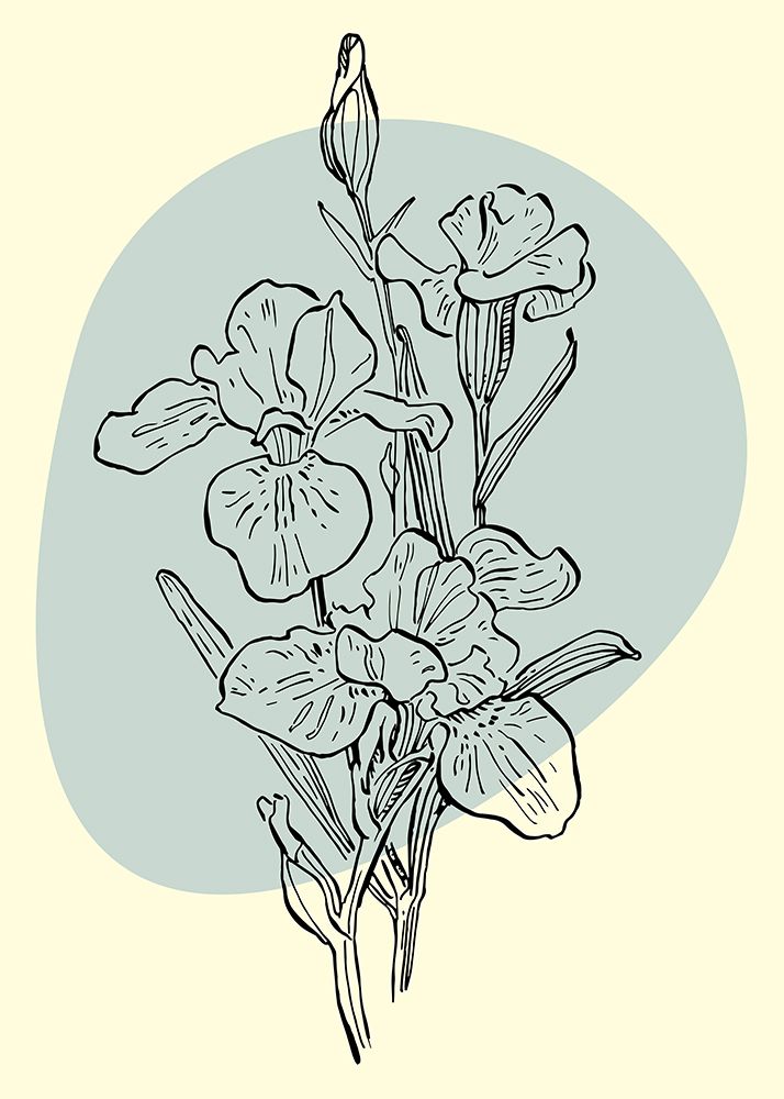 Irises flowers minimal art art print by AcantStudio for $57.95 CAD