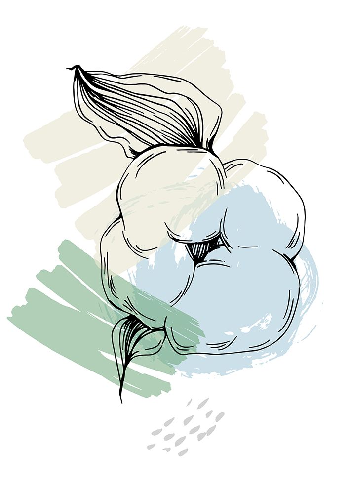 Cotton flowers minimal art art print by AcantStudio for $57.95 CAD