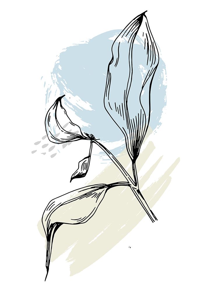 Cotton flowers minimal art art print by AcantStudio for $57.95 CAD