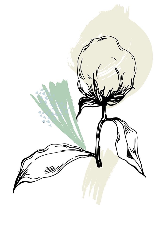Cotton flowers minimal art art print by AcantStudio for $57.95 CAD