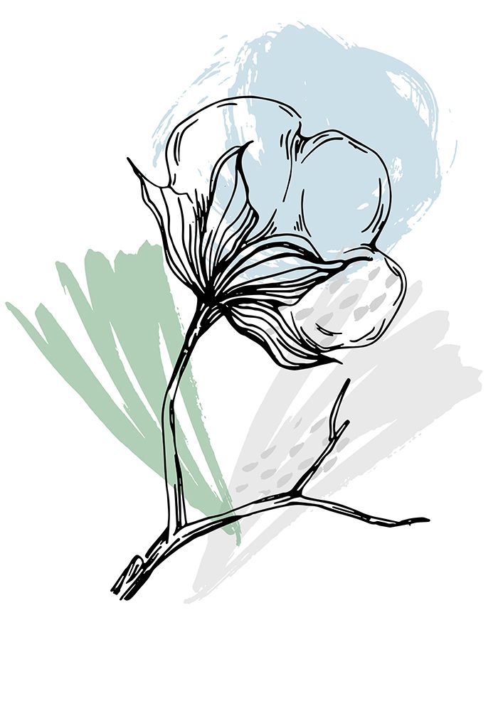 Cotton flowers minimal art art print by AcantStudio for $57.95 CAD
