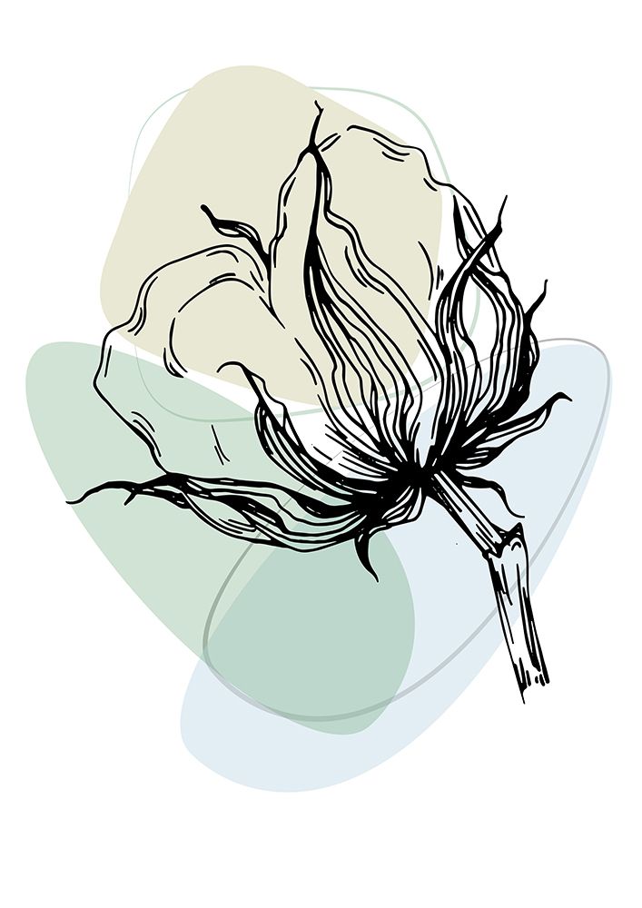Cotton flowers minimal art art print by AcantStudio for $57.95 CAD