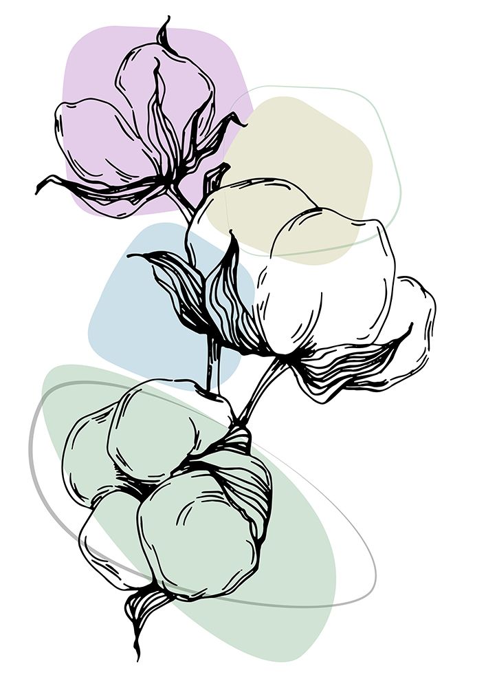 Cotton flowers minimal art art print by AcantStudio for $57.95 CAD