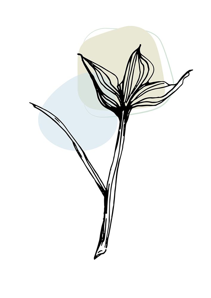 Cotton flowers minimal art art print by AcantStudio for $57.95 CAD