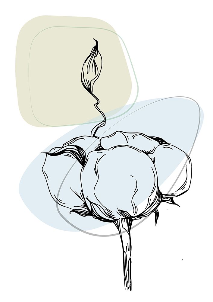 Cotton flowers minimal art art print by AcantStudio for $57.95 CAD