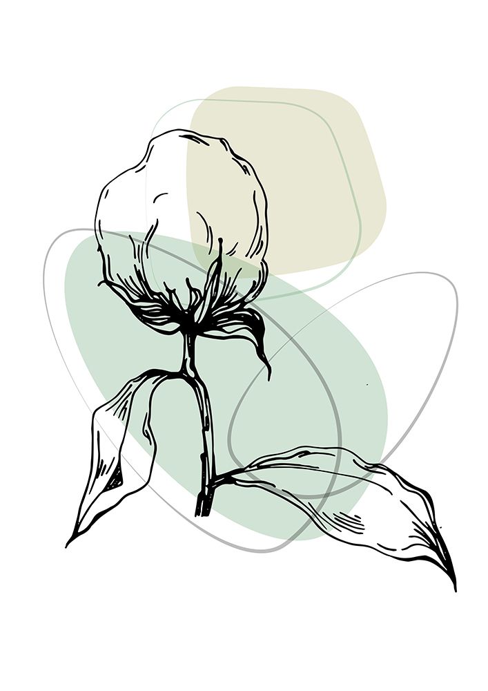 Cotton flowers minimal art art print by AcantStudio for $57.95 CAD