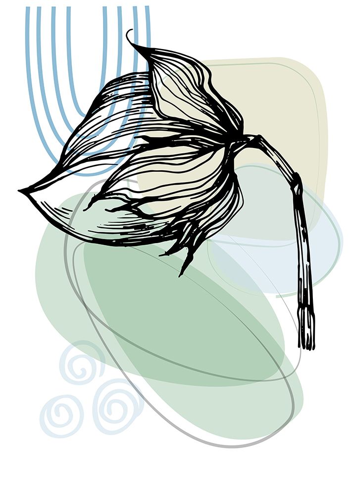 Cotton flowers minimal art art print by AcantStudio for $57.95 CAD