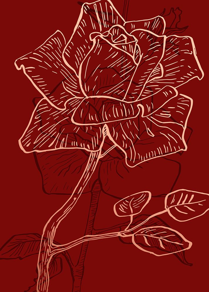 Roses flowers minimal art art print by AcantStudio for $57.95 CAD