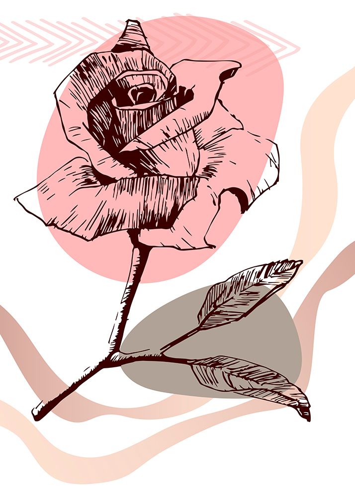 Roses flowers minimal art art print by AcantStudio for $57.95 CAD