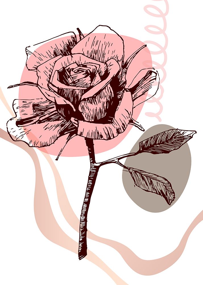 Roses flowers minimal art art print by AcantStudio for $57.95 CAD