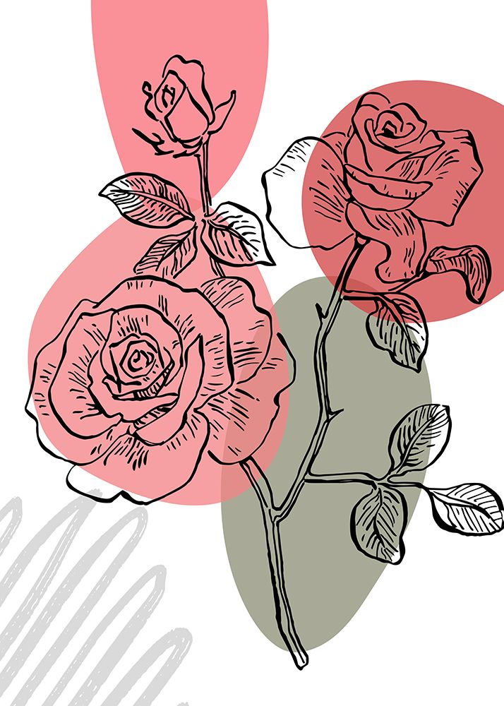 Roses flowers minimal art art print by AcantStudio for $57.95 CAD