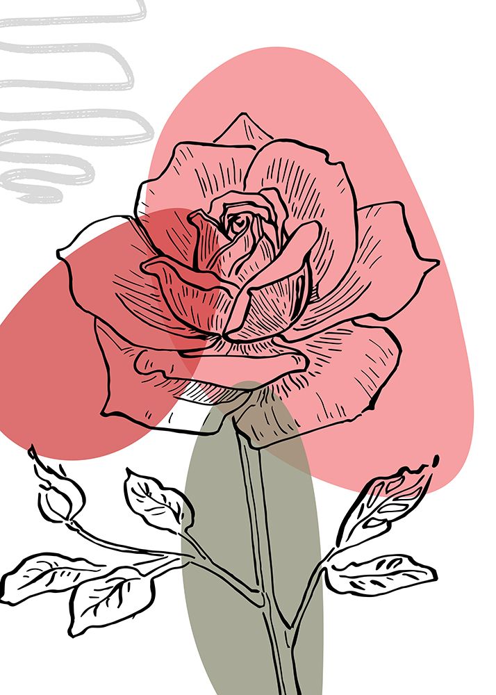 Roses flowers minimal art art print by AcantStudio for $57.95 CAD